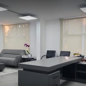 WhatsApp Image 2025-06-27 at 9.13.54 AM (6)